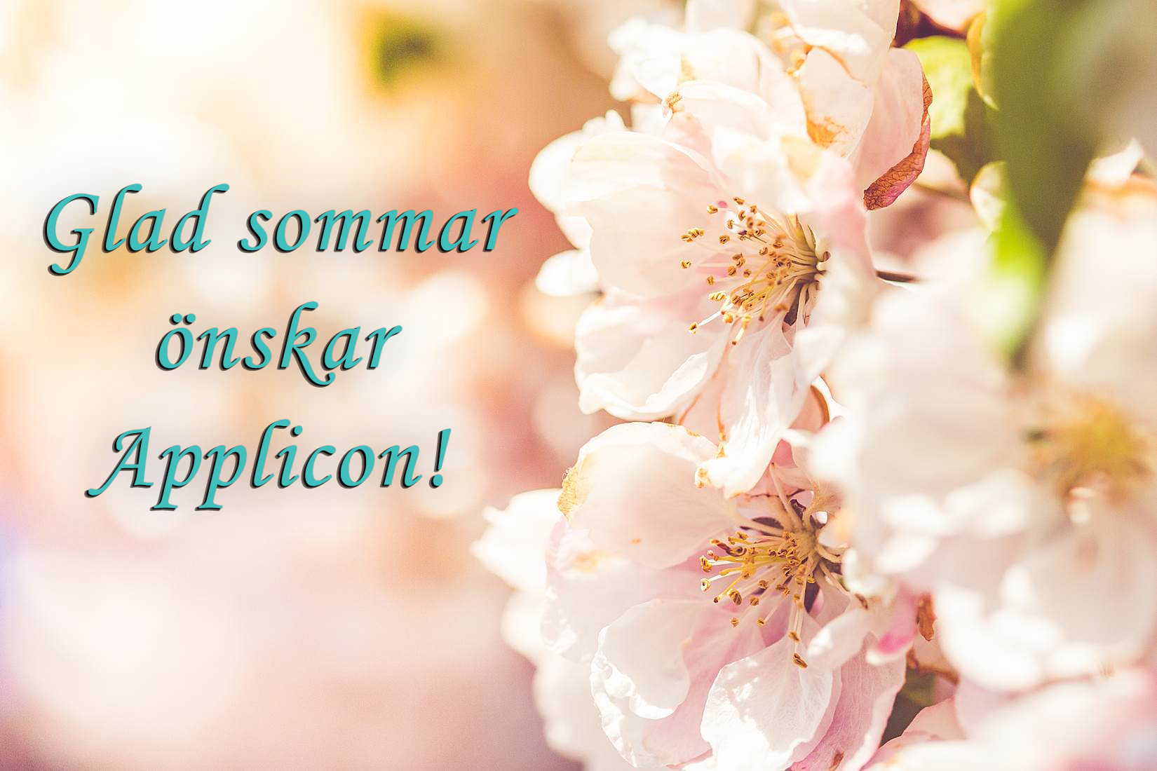 Glad sommar